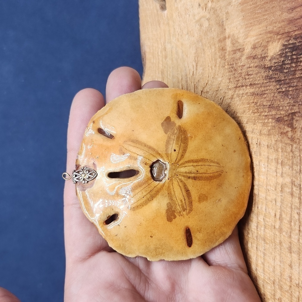 Vintage Real‎ Sand Dollar in Resin Pendant